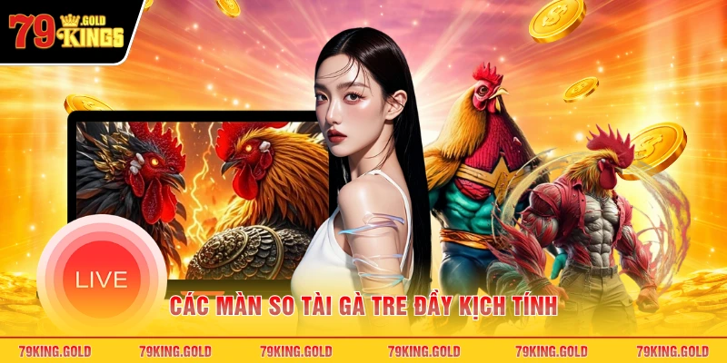 Các màn so tài gà tre đầy kịch tính