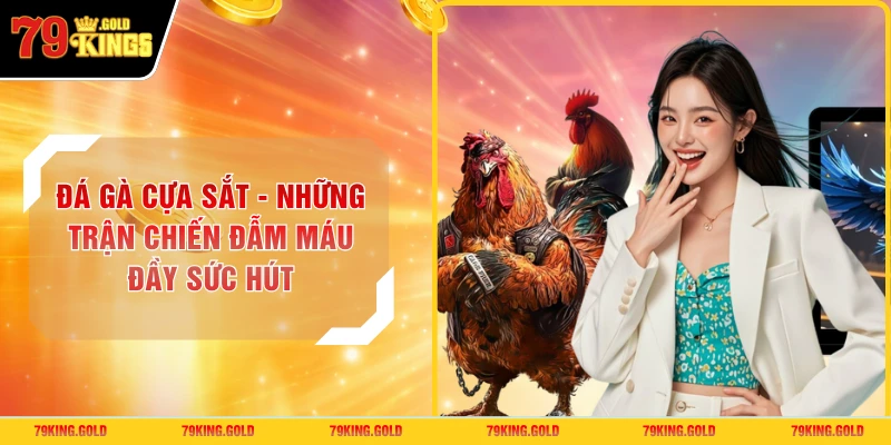 Đá Gà Cựa Sắt - Những Trận Chiến Đẫm Máu Đầy Sức Hút