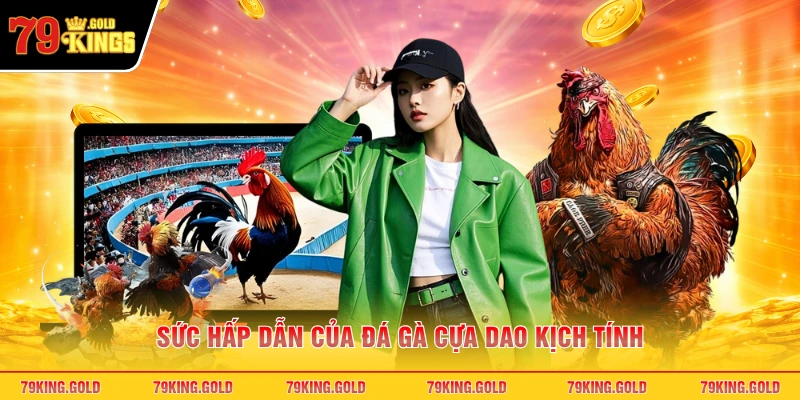 Sức hấp dẫn của đá gà cựa dao kịch tính